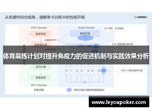 体育晨练计划对提升免疫力的促进机制与实践效果分析